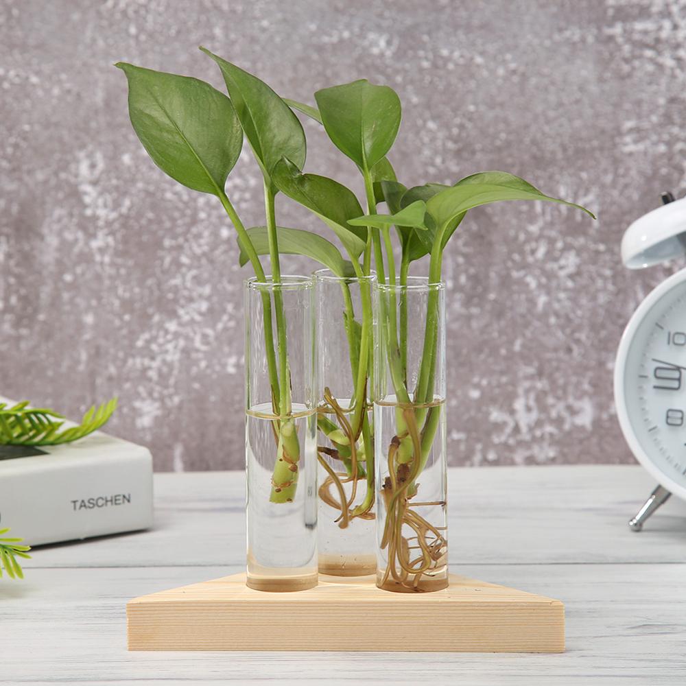 WOOD + HYDROPONIC DECO VASE - Wooden and Modern